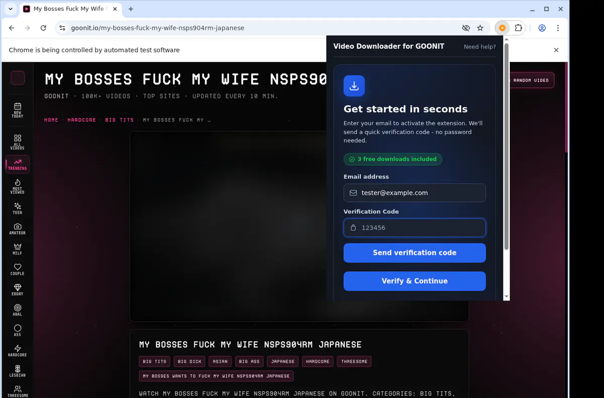 Goonit Video Downloader browser extension screenshot 4