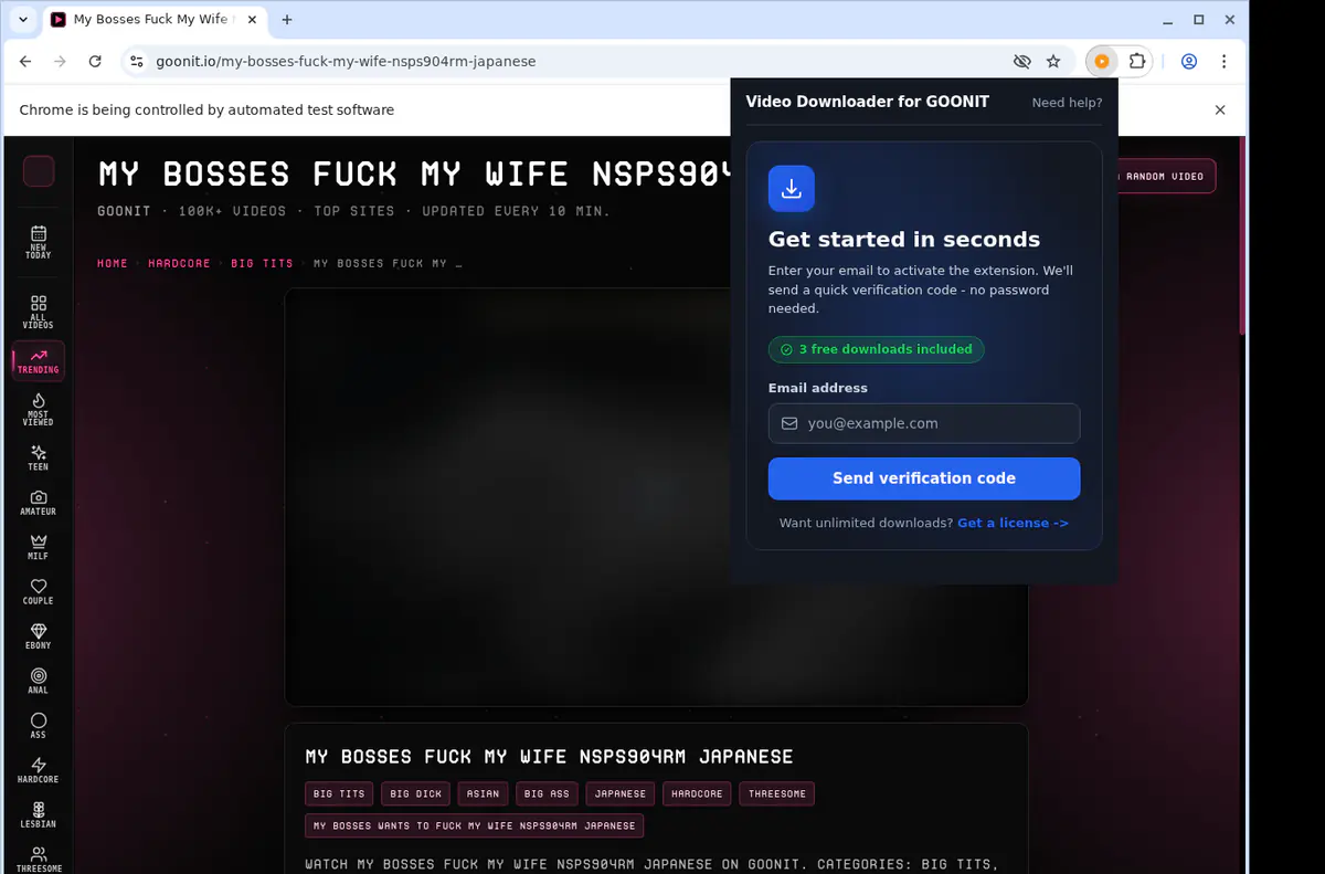 Goonit Video Downloader browser extension screenshot 5